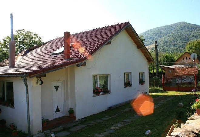 Cuibul salamandrelor