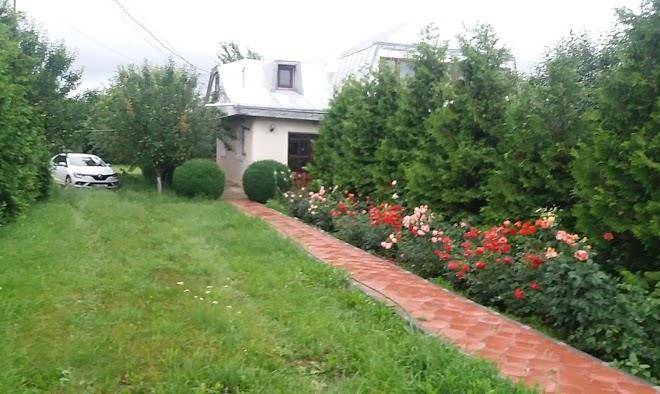 Cazare poienita