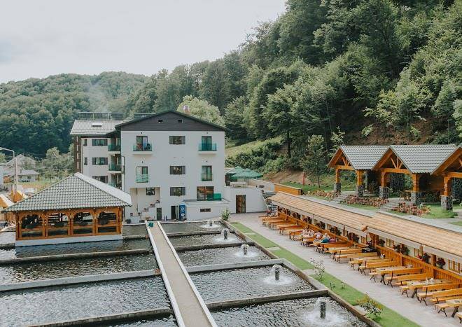 Complex lostrita