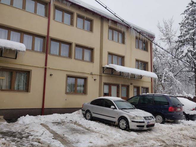 Pensiunea pictorilor baia mare