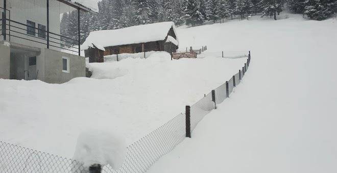 La cabana