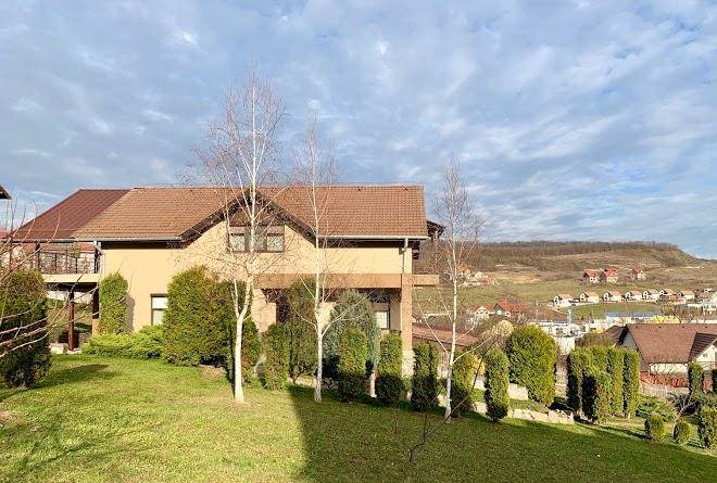 Vila cerbul corunca