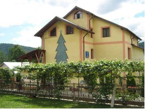 Pensiunea bradu