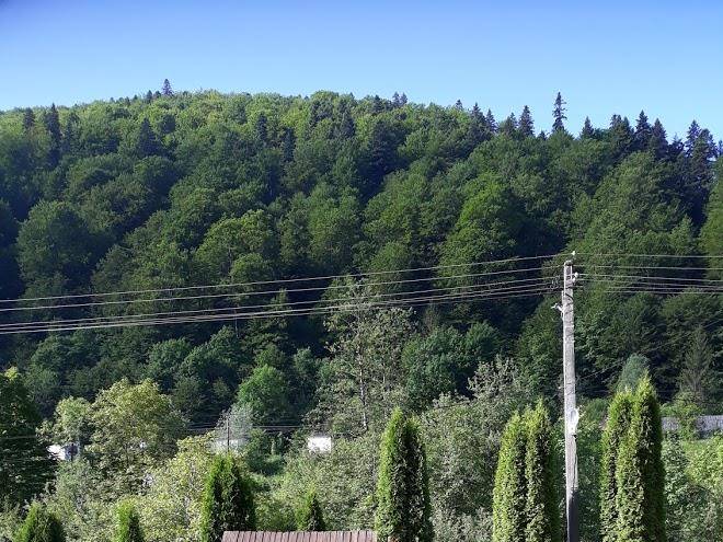 Pensiunea la steaguri bicaz izvoru muntelui