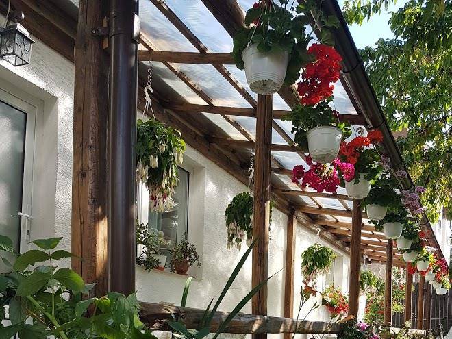 Casa farca