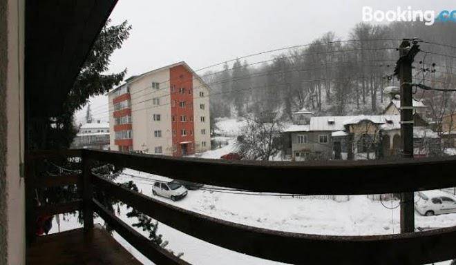 La buni busteni