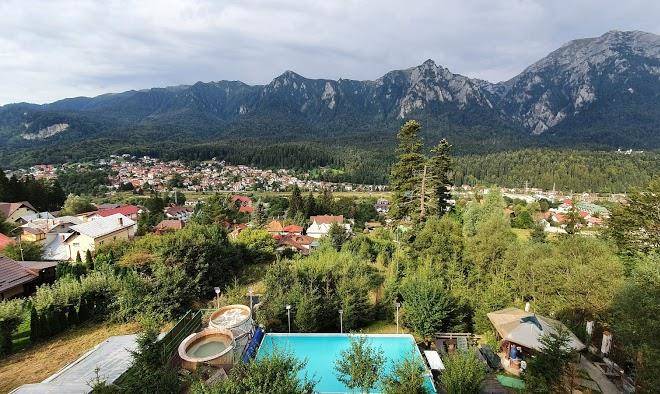 Vila alunis