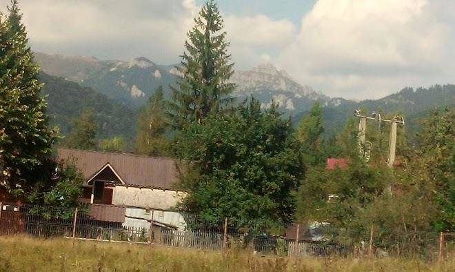 Pensiunea restaurant floarea soarelui