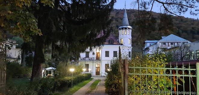 The castle