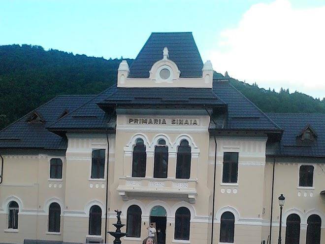 Vila saos
