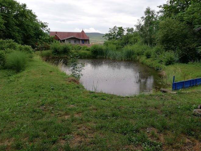 Complex Henrietta Image