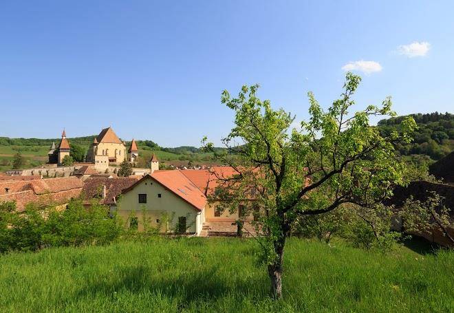 Pension unglerus