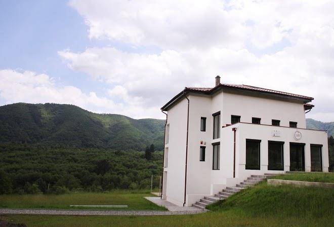 Pensiunea cuib