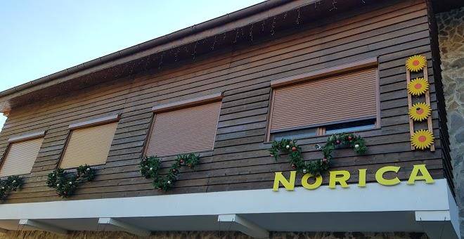 Pensiunea norica