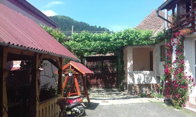 Pensiunea razvan gura raului