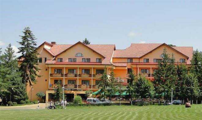 Best western silva
