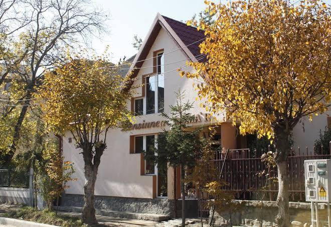 Pensiunea doma'r alina