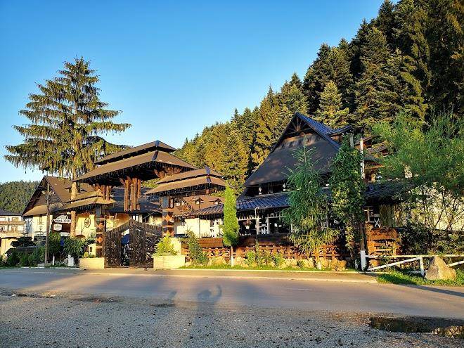 Complex lions bucovina