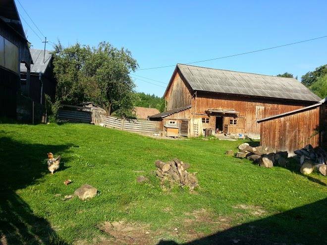 Bucovina hills