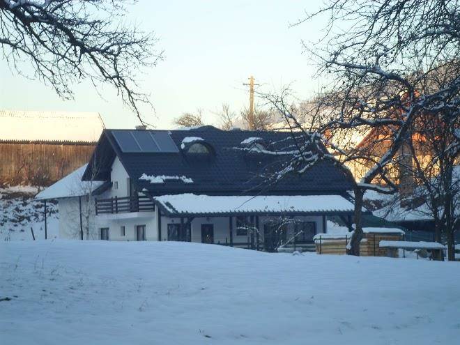 Casuta din gradina