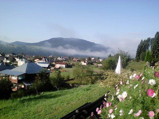 Bucovina lodge
