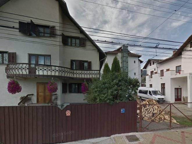 Vila camelia