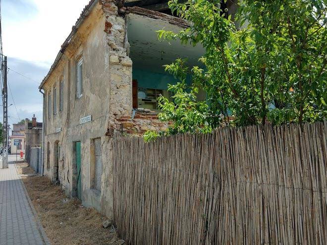 Vila alina