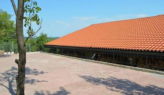 Vila tisa baile olanesti