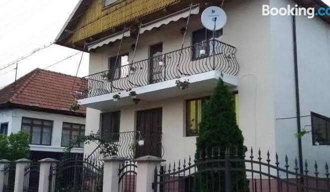 Vila alina