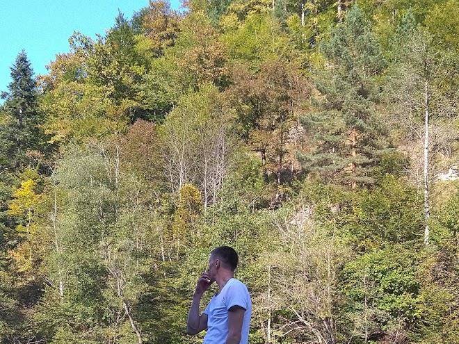 Holiday Park Svetlana Image