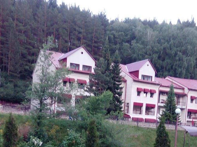 Gostevoy dvor sosnovyy log