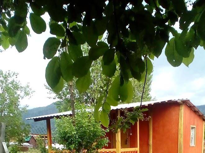 Izbushka U Tanyushki Image