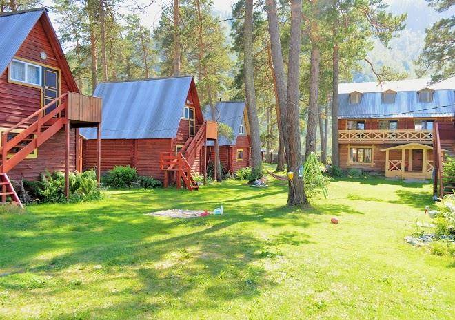 Zaimka u katuni