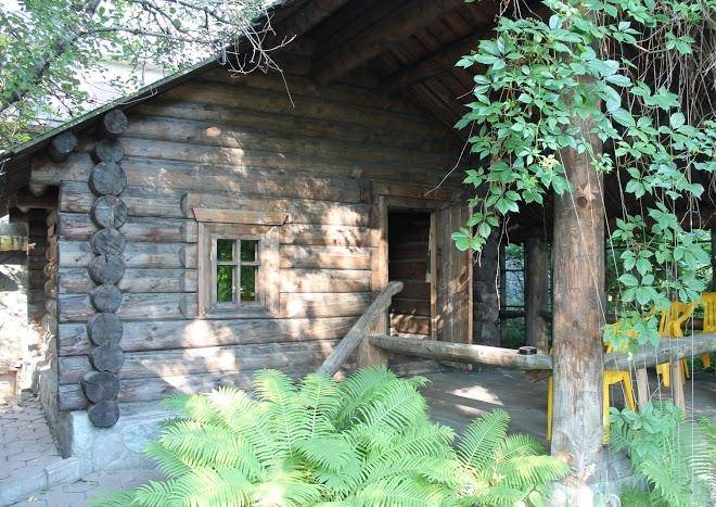 Otel' ryzhiy pos