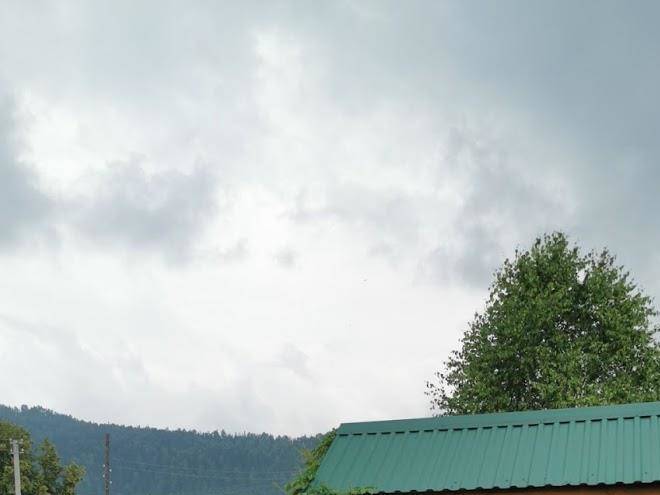 Roza Vetrov Usadba Image