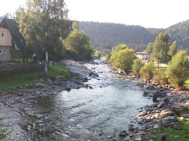 Sashkina Usadba Image