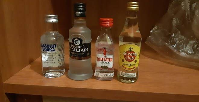 Lady With A Dog Image