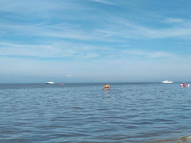 Gostevoy dvor bagul'nik