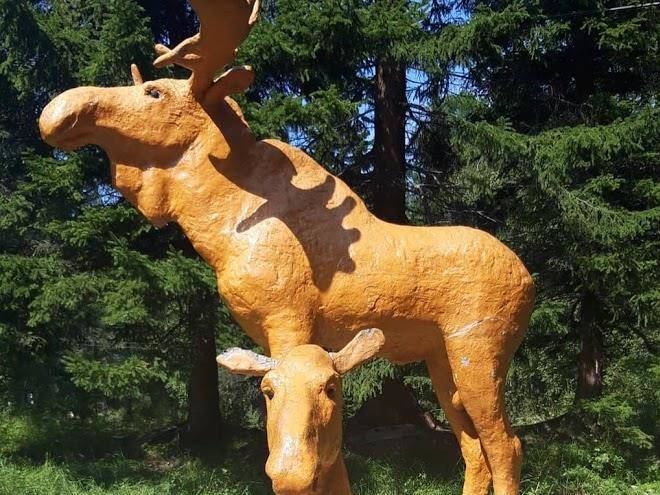 Zamok Gornogo Korolya Image