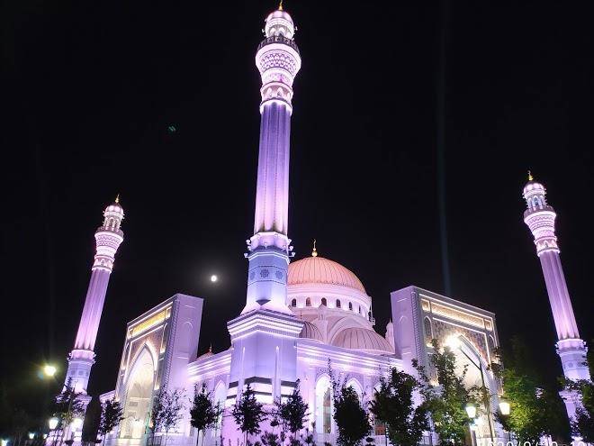 Hotel Shali City Image