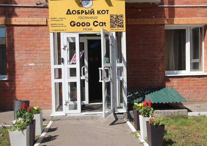 Dobryy kot