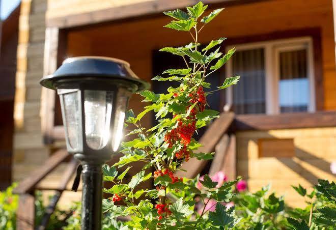 Dauria hotel