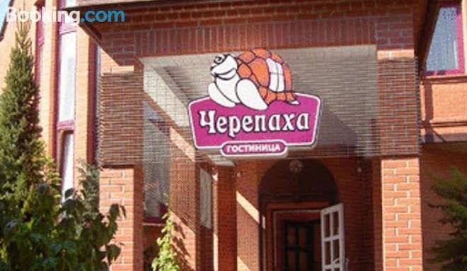 Cherepakha gostinitsa