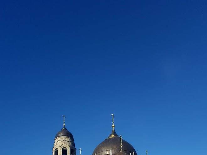 Bora borovsk