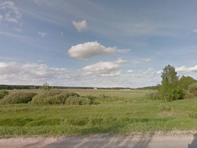 Cave Sorceress Gingemma Image