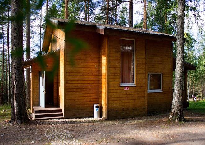 Shishki kareliya