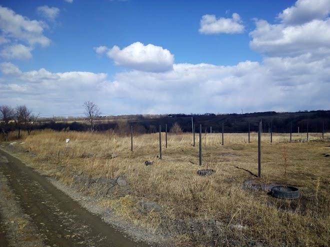 Tsarstvo korolevstvo
