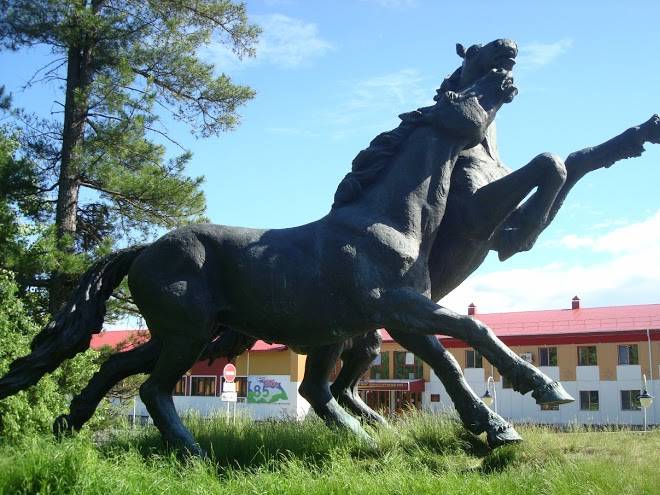 Mustang hotel