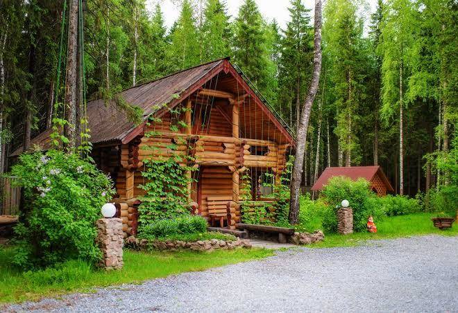Timan gostinitsa
