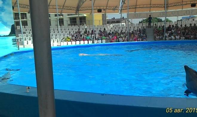 Flot i dora
